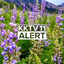 www.kktv.com